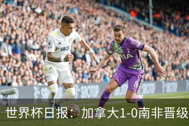 世界杯日报：加拿大1-0南非晋级创历史 韩国主帅洪明甫下课
