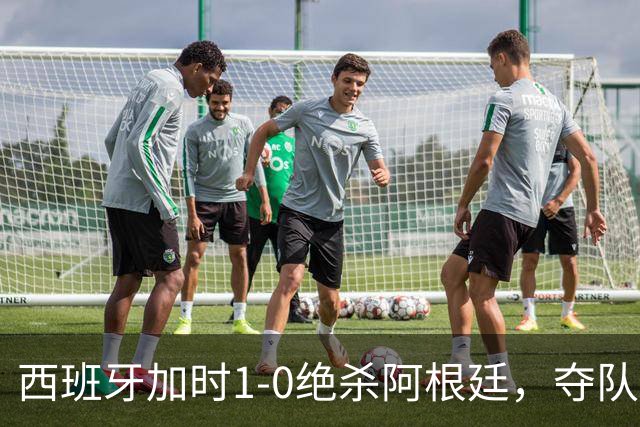 西班牙加时1-0绝杀阿根廷，夺队史世界杯第二冠，马德里万人空巷