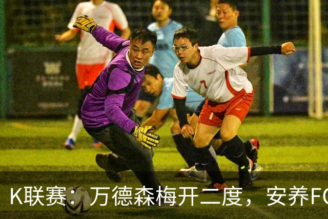 K联赛：万德森梅开二度，安养FC2-3浦项制铁